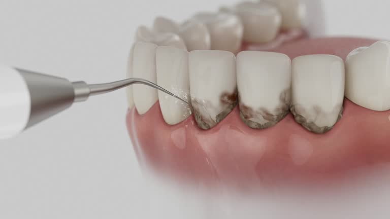 Reliable Dental contractor in Kenmore, WA by Dentist Open Now